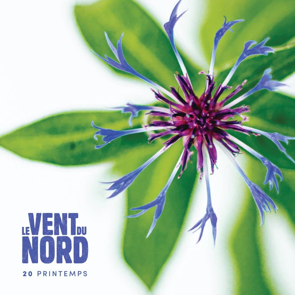 Cover art for Dans l’eau-de-vie de l’arbre by Le vent du nord