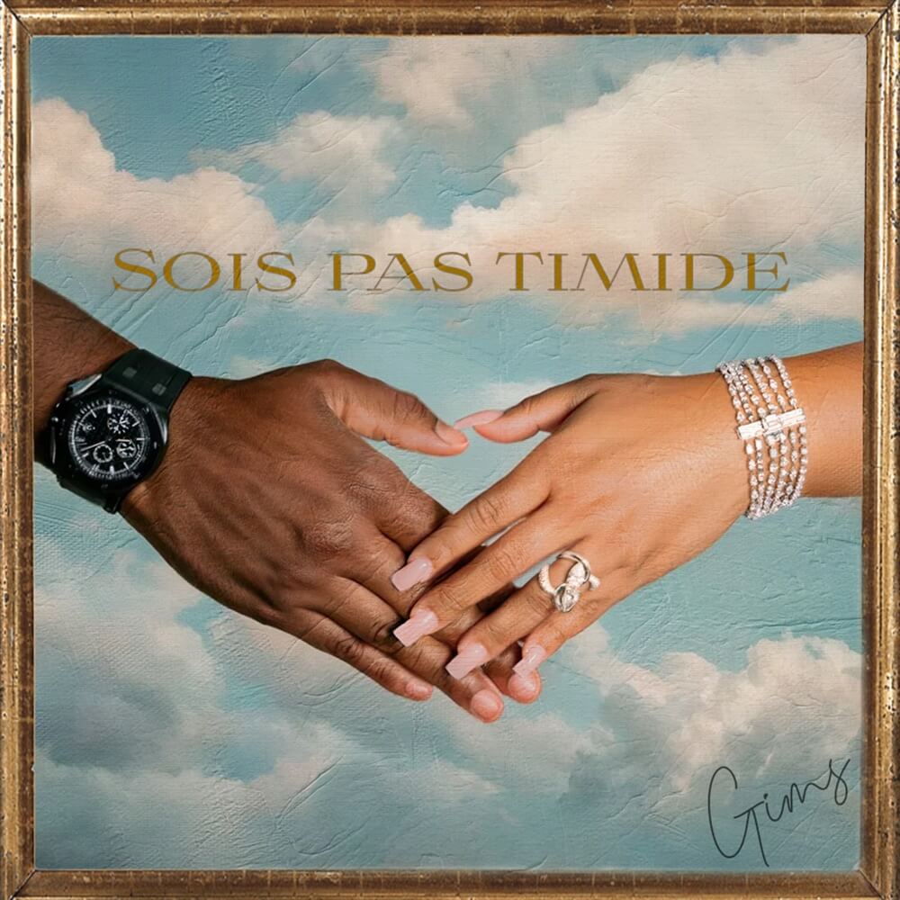 Cover art for Sois pas timide by Gims