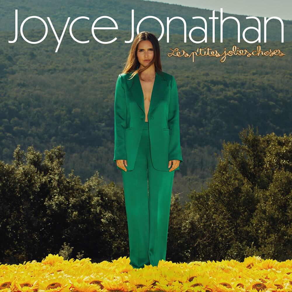 Cover art for Bonjour, au revoir by Joyce Jonathan